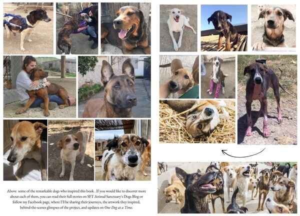 Real rescue dogs that inspired the book